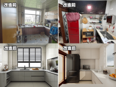 <b>实现高效、透项目办理</b>